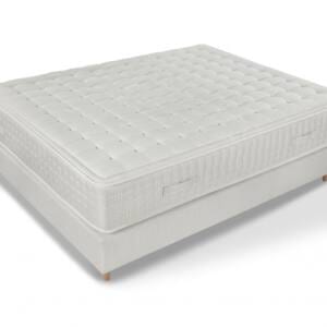 Airplus Terxy