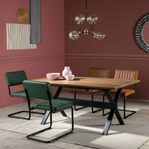 Mesa Extensible DT-109