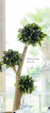 Árbol Preservado Jumbo Salal h190 cm Verdissimo - Imagen 2