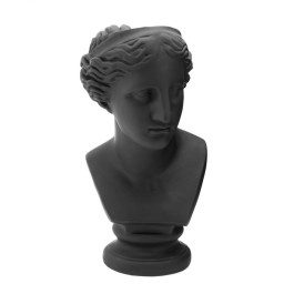 Vaso venere EDG