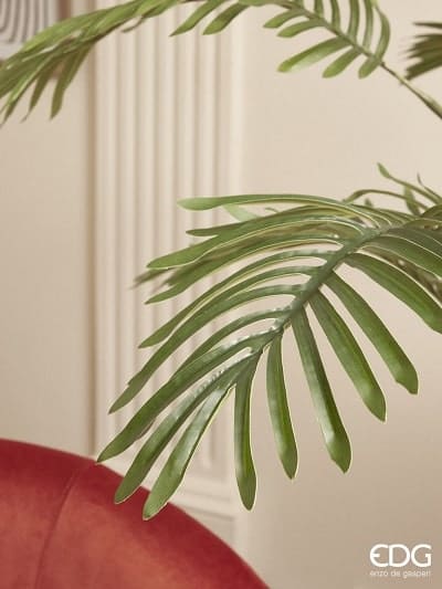 Palma Areca C/Matera H150 C3 - Imagen 3