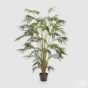 Palma Areca C/Matera PVC H150(48FOGL)B4
