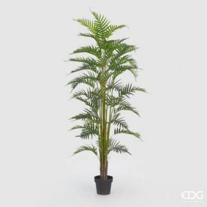 Palma Areca C/Matera PVC H180 (45FG) B7