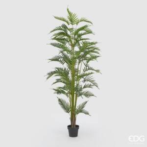 Palma Areca C/Matera PVC H200 (63FG) B7