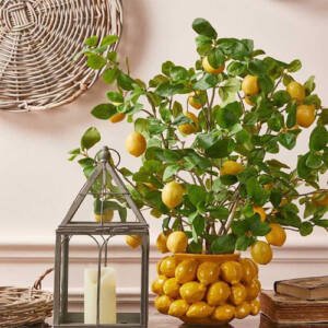 EDG Enzo de Gasperi Jarrón Chakra Lemons H19 D28 cm