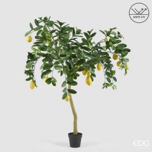 Árbol EDG Limone Anti-UV Alto 170cm x 19cm con vaso