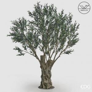 Árbol olivo tratamiento Anti-UV altura 240cm con tronco