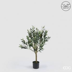 Árbol olivo Tratamiento Anti-UV altura 93cm con vaso