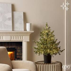 Árbol de Navidad Pino C/240LED H90 D85 C3