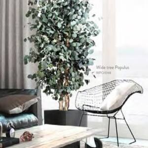 Árbol Preservado Wide tree Populus Verdissimo h180cm