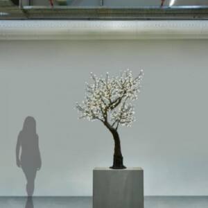 Árbol Manzano en Flor edg C/880 led H180 (BASE D36)